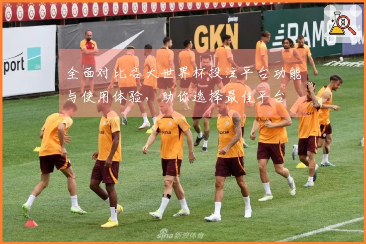 全面对比各大世界杯投注平台功能与使用体验，助你选择最佳平台