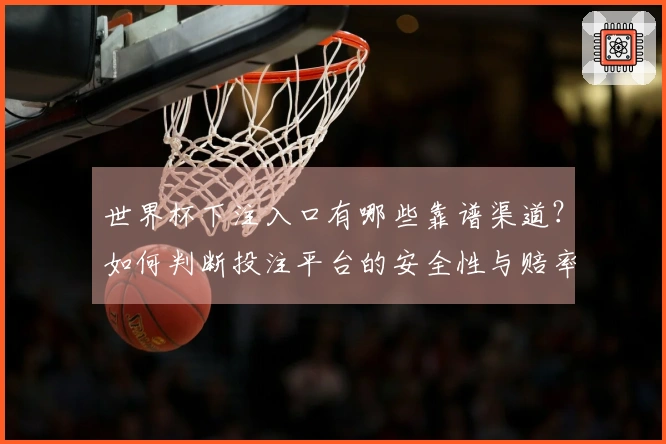 世界杯下注入口有哪些靠谱渠道？如何判断投注平台的安全性与赔率优势