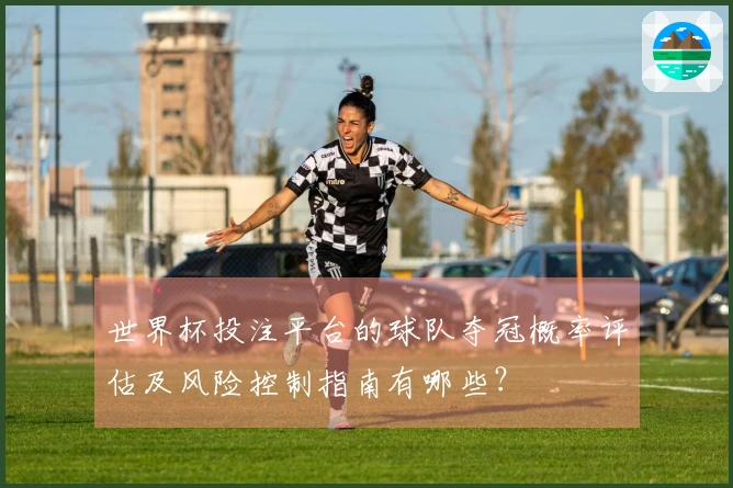 世界杯投注平台的球队夺冠概率评估及风险控制指南有哪些？