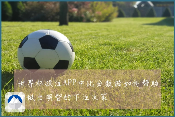 世界杯投注APP中比分数据如何帮助你做出明智的下注决策