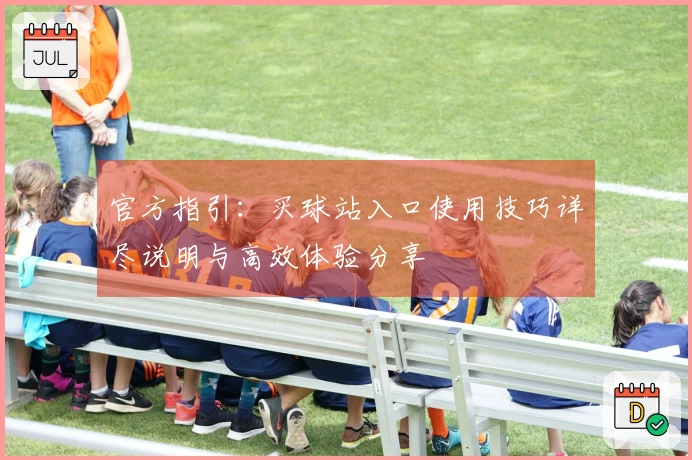 官方指引：买球站入口使用技巧详尽说明与高效体验分享