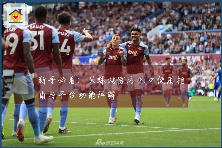 新手必看：买球站官方入口使用指南与平台功能详解