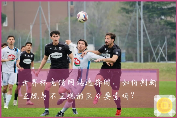 世界杯竞猜网站选择时，如何判断正规与不正规的区分要素吗？